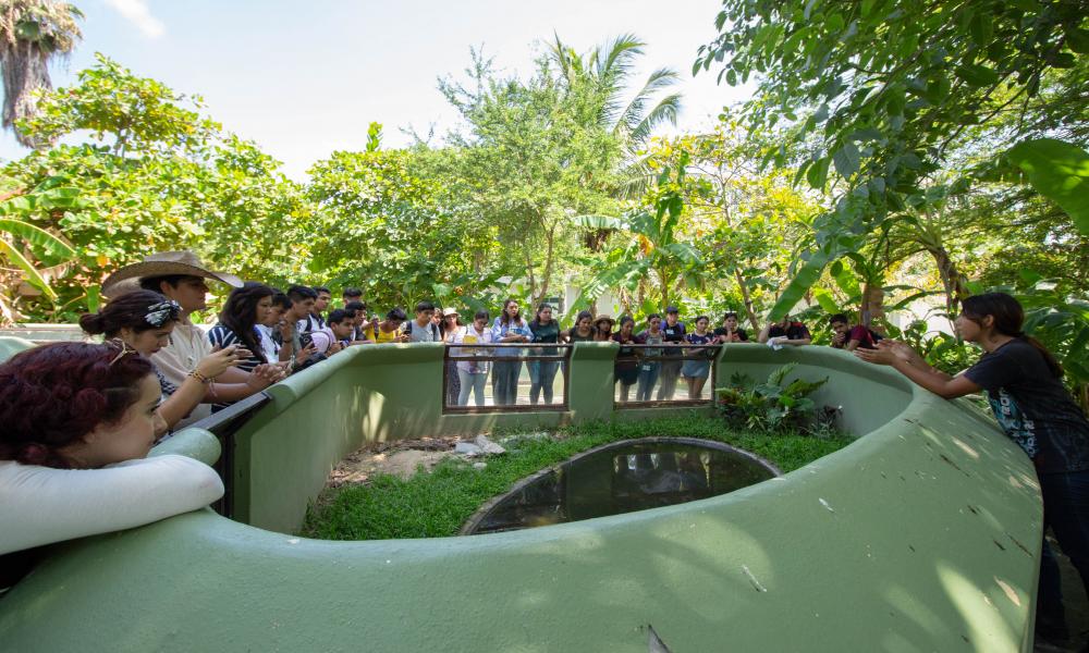 CUCosta da la bienvenida a estudiantes del Programa Delfín