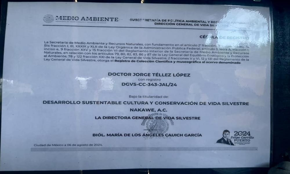 Colocan cédula de registro de colección científica y museográfica “Doctor Jorge Téllez López” en el campamento tortuguero de Boca de Tomates