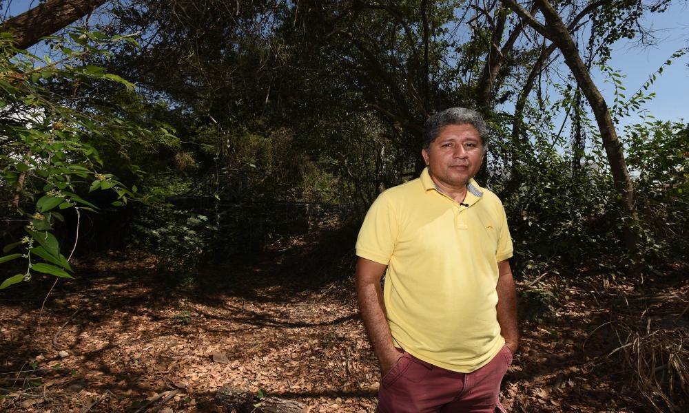 Descubren especie de tortuga única en el mundo