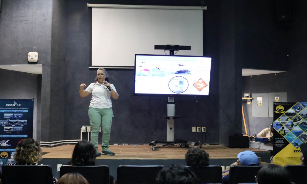 Estudiantes de las áreas de la salud compartieron sus conocimientos a la comunidad universitaria