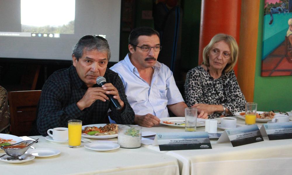 Convoca CUCosta a debate público sobre protección de la montaña de Puerto Vallarta.