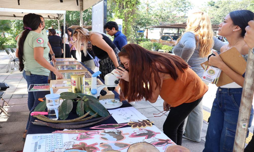 Viven estudiantes la experiencia de las “Jornadas de Ciencias Biológicas y de la Salud 2024”
