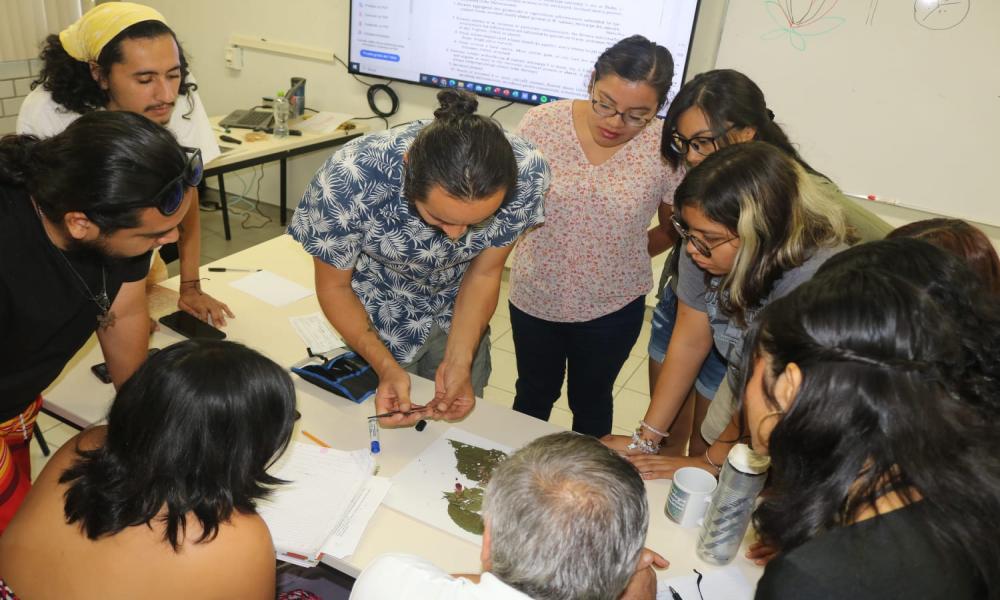 Herbario PV del Centro Universitario de la Costa: apoyo a la docencia y educación ambiental en la región de Bahía de Banderas, Jalisco-Nayarit