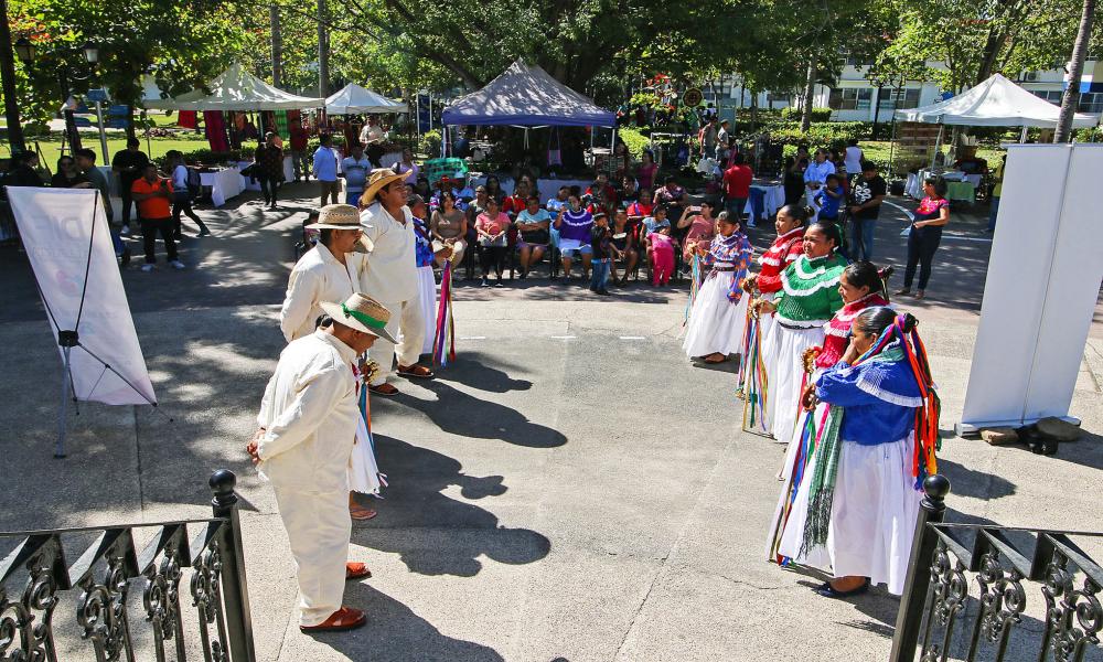 En el CUCosta Inauguran Primera Feria de Comunidades Indígenas “De la Raíz a la Flor”