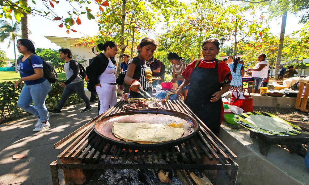 En el CUCosta Inauguran Primera Feria de Comunidades Indígenas “De la Raíz a la Flor”