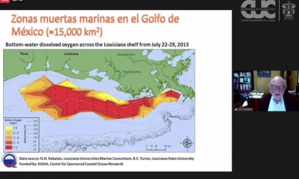 Surge la Cátedra Universitaria Juan Luis Cifuentes, como homenaje a su trayectoria en la docencia en México