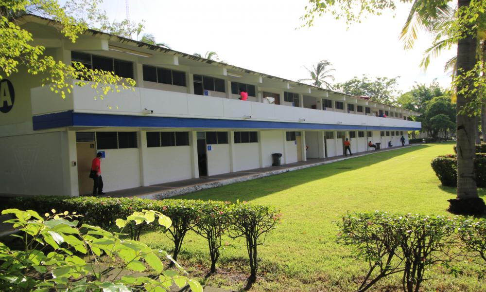 El 97 % egresados del CUCosta presentaron examen de CENEVAL