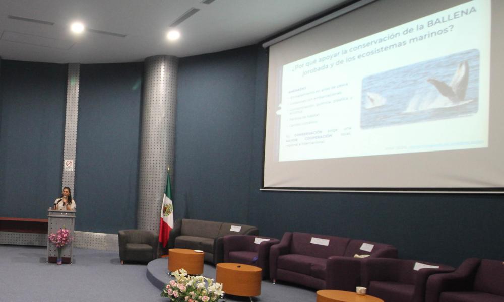 CUCosta se suma a la campaña “Cero Plásticos” del proyecto Nado por las Ballenas