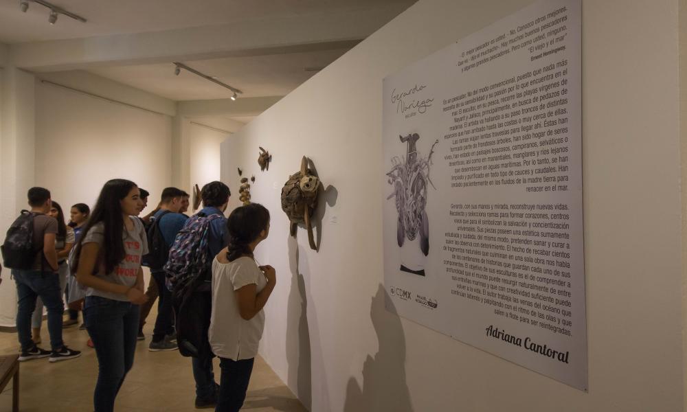 Inauguran Exposición “Symbiosis” en el Museo de arte Peter Gray