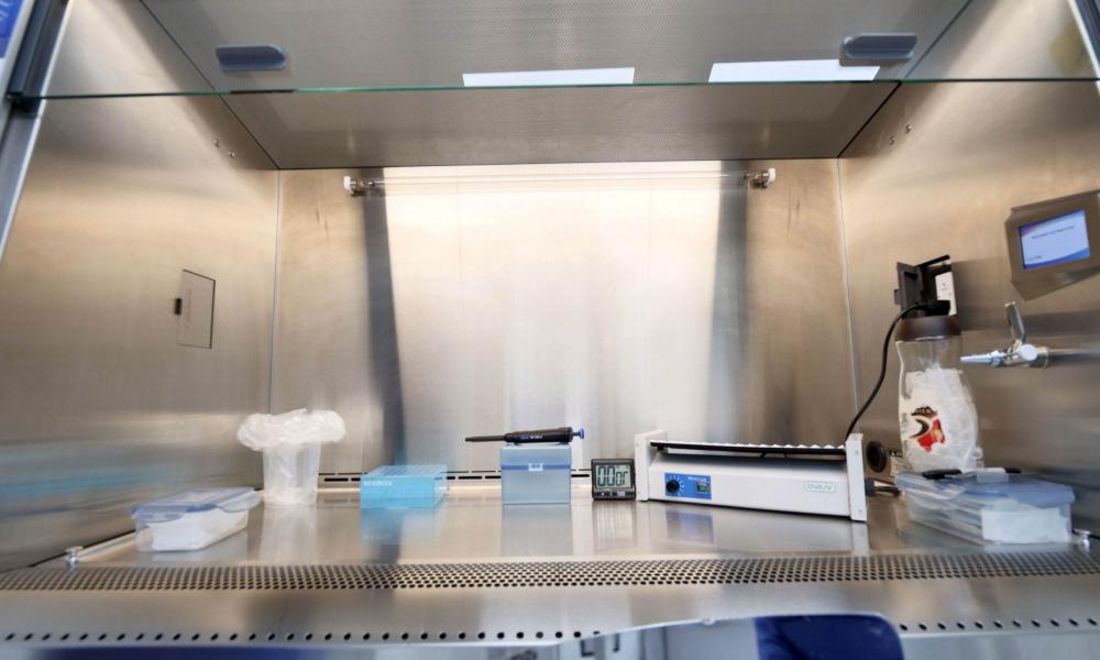 El índice de positividad en pruebas COVID-19 es del 50%