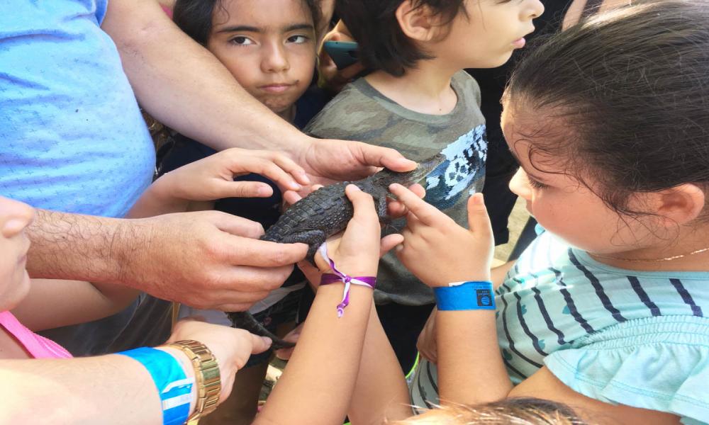 El “Mundo de los Cocodrilos” Sábados de la Ciencia en CUCosta