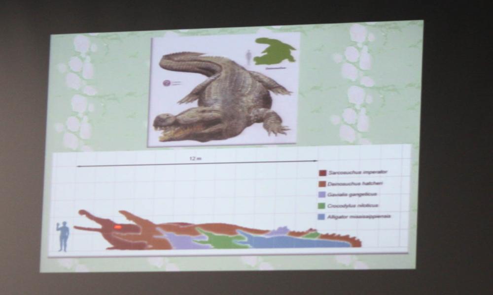 El “Mundo de los Cocodrilos” Sábados de la Ciencia en CUCosta