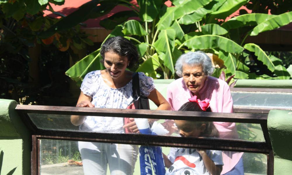 El “Mundo de los Cocodrilos” Sábados de la Ciencia en CUCosta