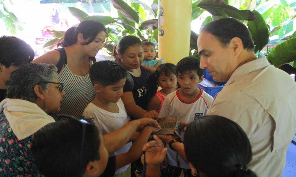 El “Mundo de los Cocodrilos” Sábados de la Ciencia en CUCosta