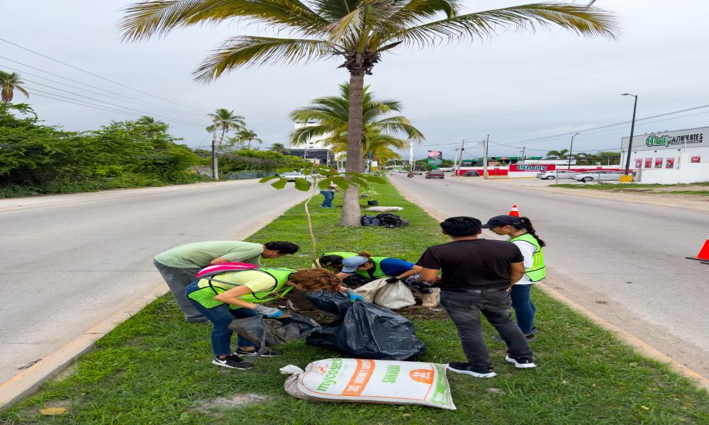 Participación de profesores y estudiantes del Centro Universitario de la Costa en la Mega arborización 2024 Puerto Vallarta