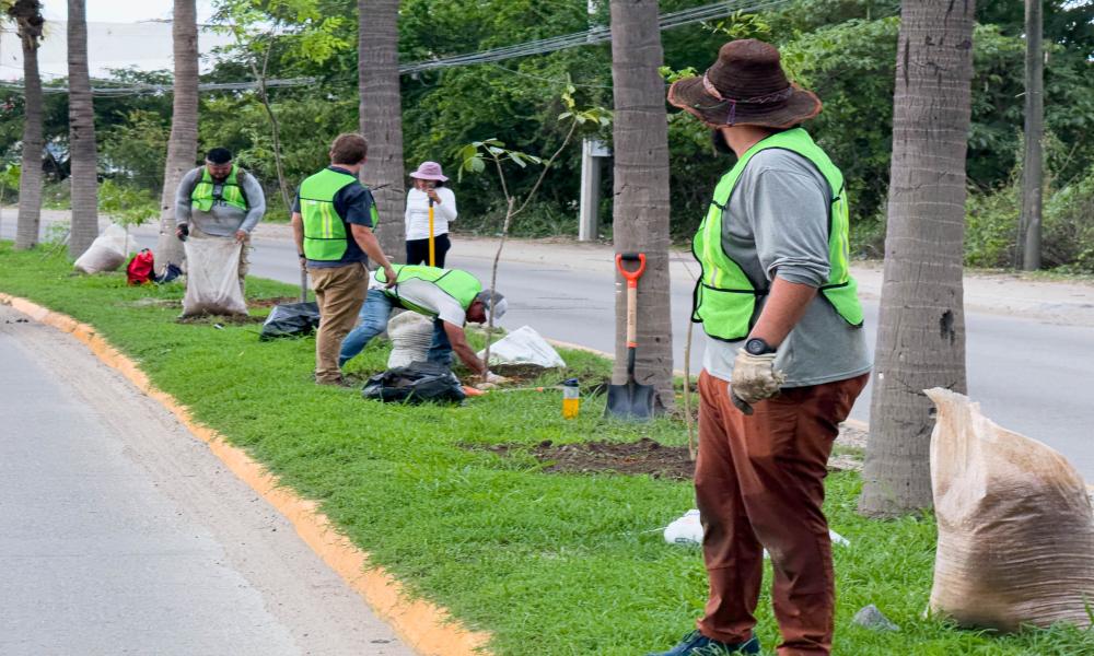 Participación de profesores y estudiantes del Centro Universitario de la Costa en la Mega arborización 2024 Puerto Vallarta