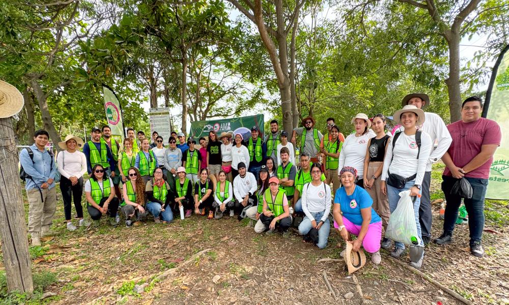 Participación de profesores y estudiantes del Centro Universitario de la Costa en la Mega arborización 2024 Puerto Vallarta