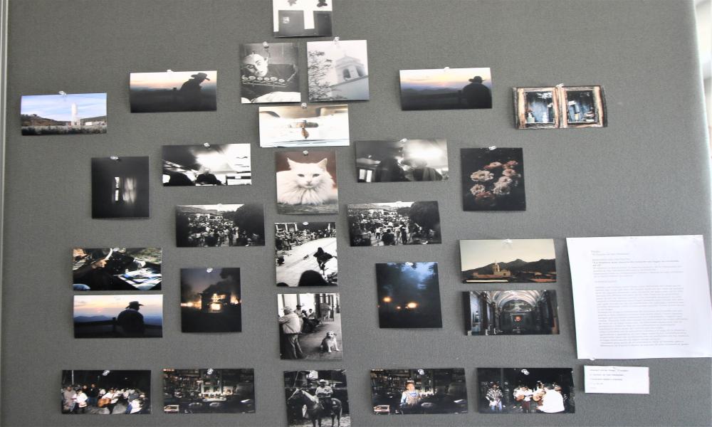 Se erige CUCosta en galería para la exposición de obras de egresados y estudiantes