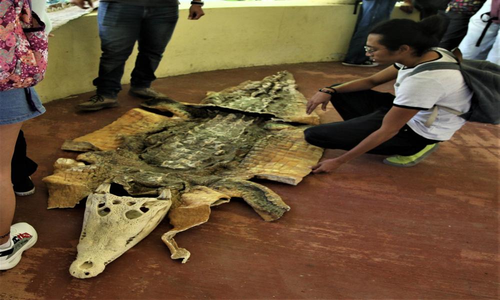 Los biólogos y biólogas juegan un papel importante en distintos ámbitos de la comunidad