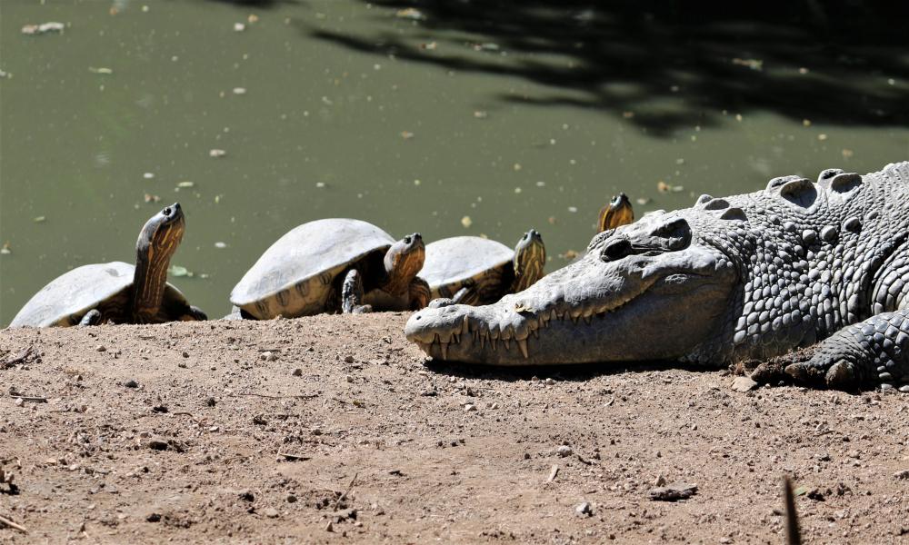 Los biólogos y biólogas juegan un papel importante en distintos ámbitos de la comunidad