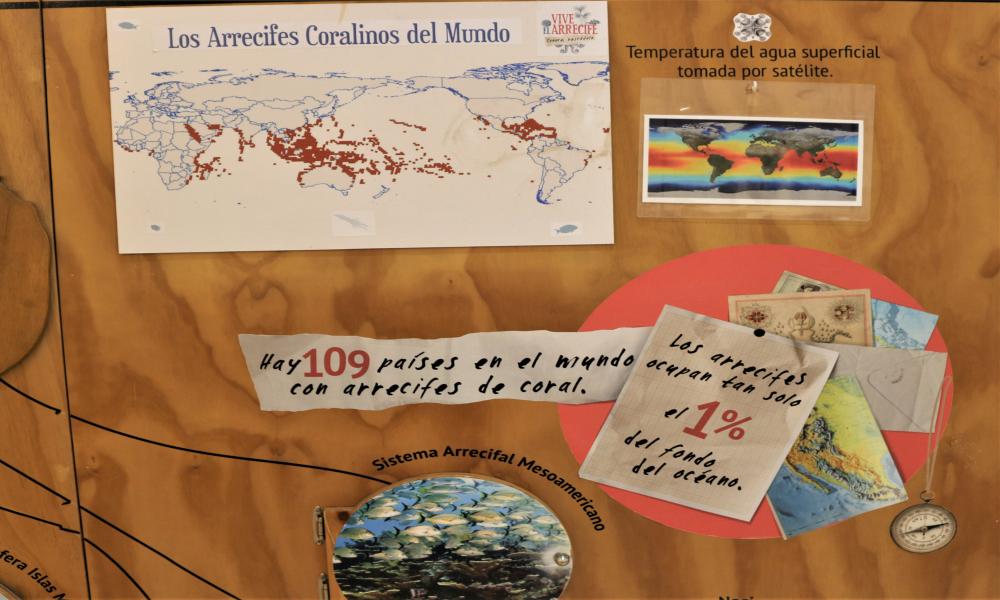 Abren exposición “Vive El Arrecife” en la Biblioteca Los Mangos Centro Cultural