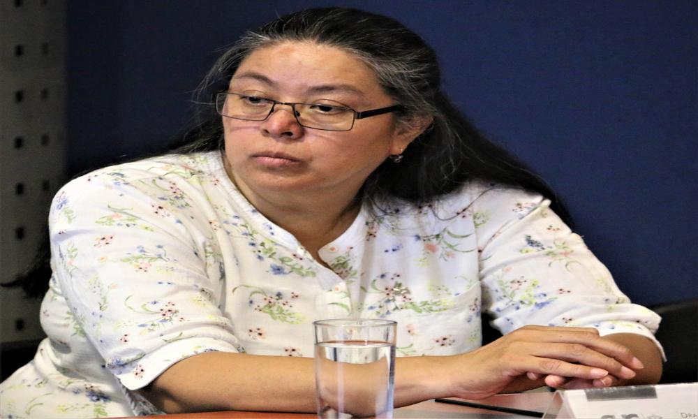 Ponen en marcha Centro de Estudios de la Tierra en tres Centros Universitarios