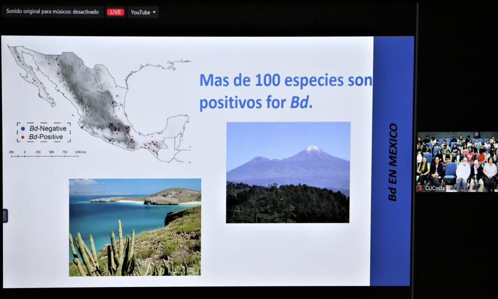 La Facultad de Ciencias de la UNAM rinde homenaje al Dr. Juan Luis Cifuentes Lemus