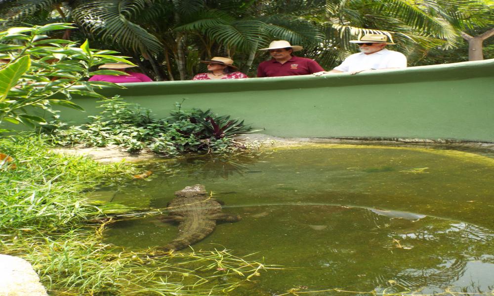 Celebra Reptilario Cipactli del CUCosta 25 Años de proteger reptiles en la región