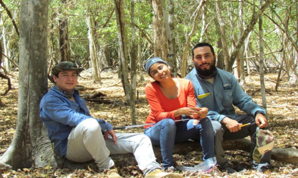 Académicos del CUCosta destacan en el Sistema Nacional de Investigadores