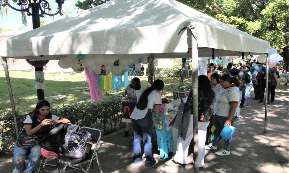 Arrancó la Feria CREADI en Centro Universitario de la Costa