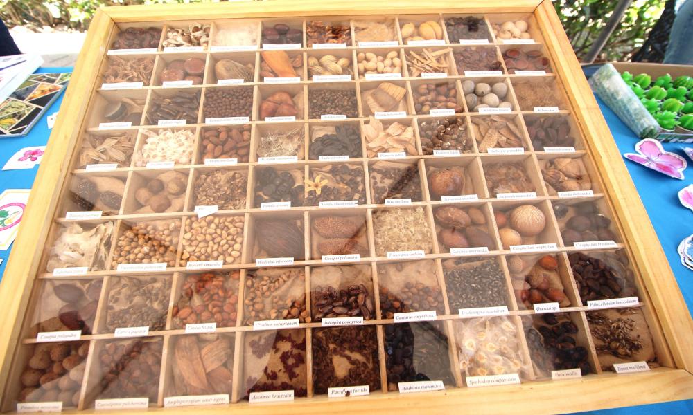 Celebran Día Mundial de la Tierra con Feria Ambiental