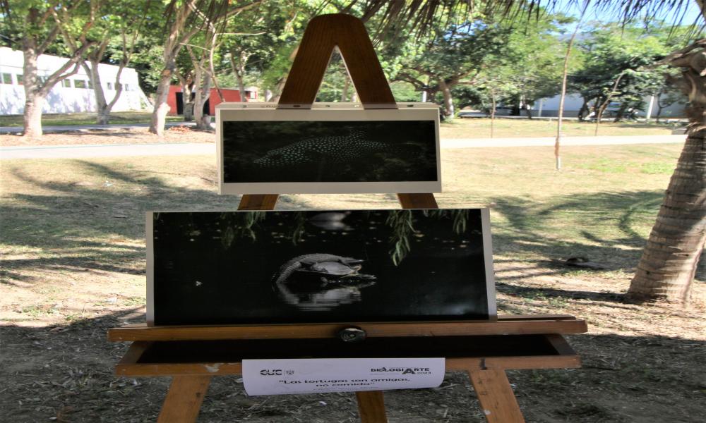 Los biólogos y biólogas juegan un papel importante en distintos ámbitos de la comunidad