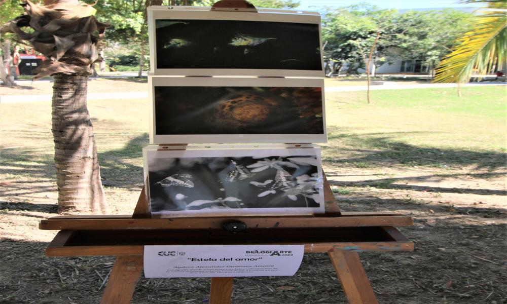 Los biólogos y biólogas juegan un papel importante en distintos ámbitos de la comunidad