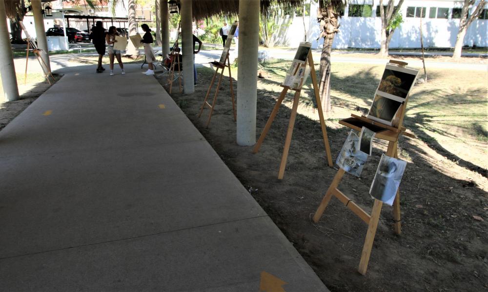 Los biólogos y biólogas juegan un papel importante en distintos ámbitos de la comunidad