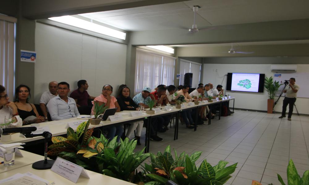 Realizan en CUCosta reunión de la mesa ambiental de Semarnat