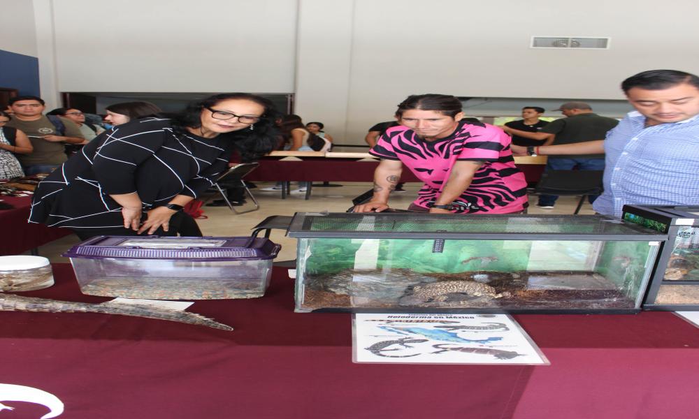 Celebran en CUCosta 15 años de mostrar la Colección Biológica Itinerante