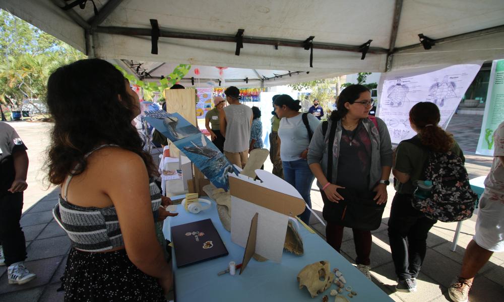 Se presentan 105 trabajos de alumnos de la Carrera de Biología