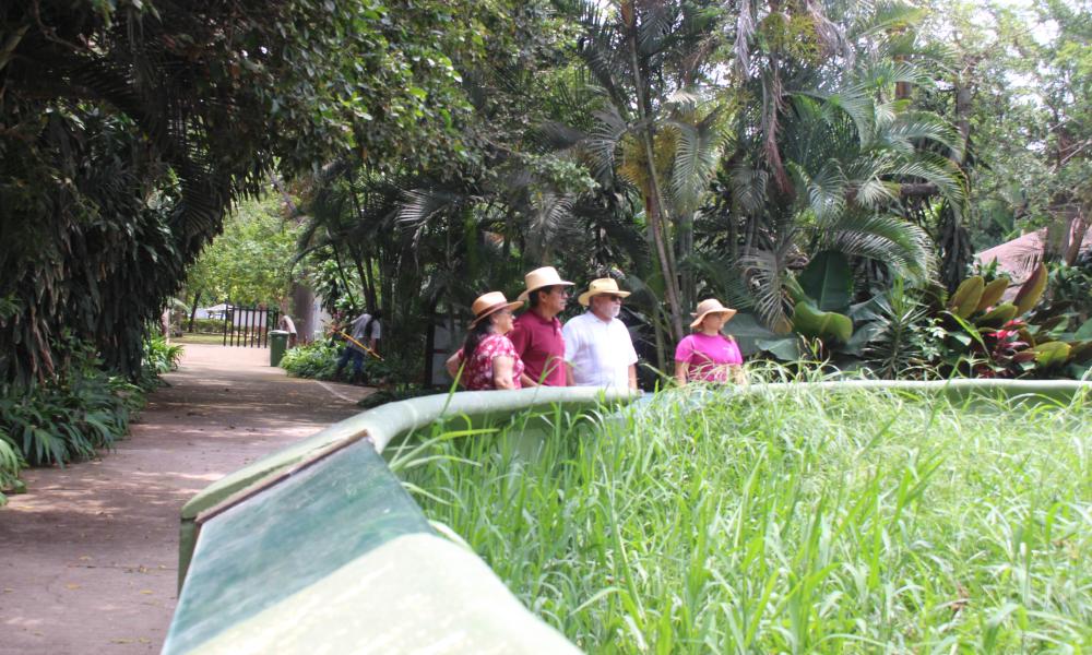 Rectores del CUCosta y CUCSur establecen acuerdos de colaboración