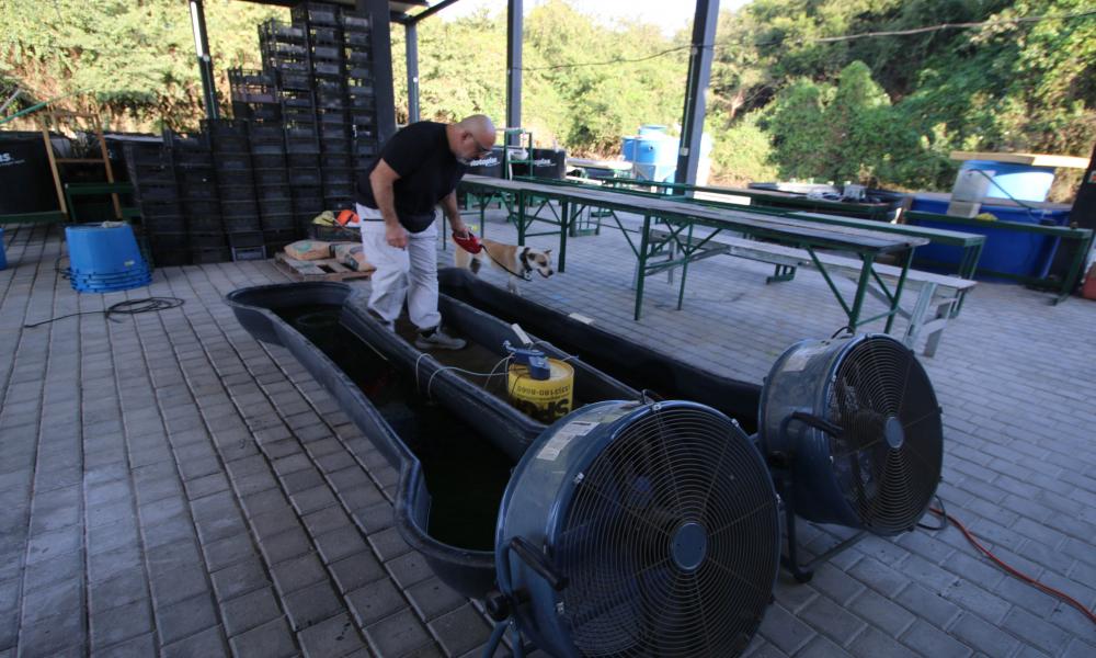 Inician clases en el nuevo edificio de Acuicultura del CUCosta