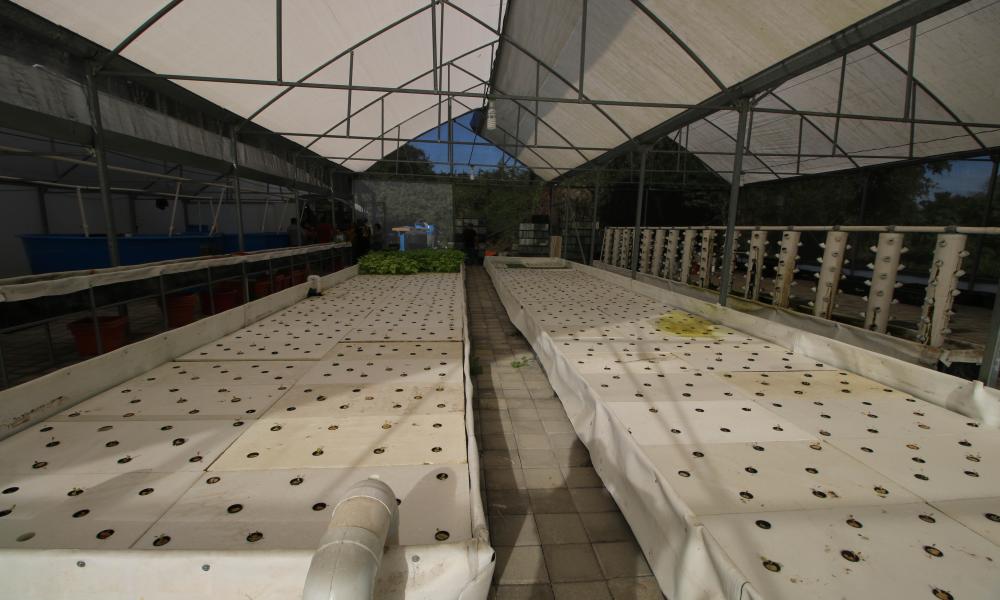 Inician clases en el nuevo edificio de Acuicultura del CUCosta