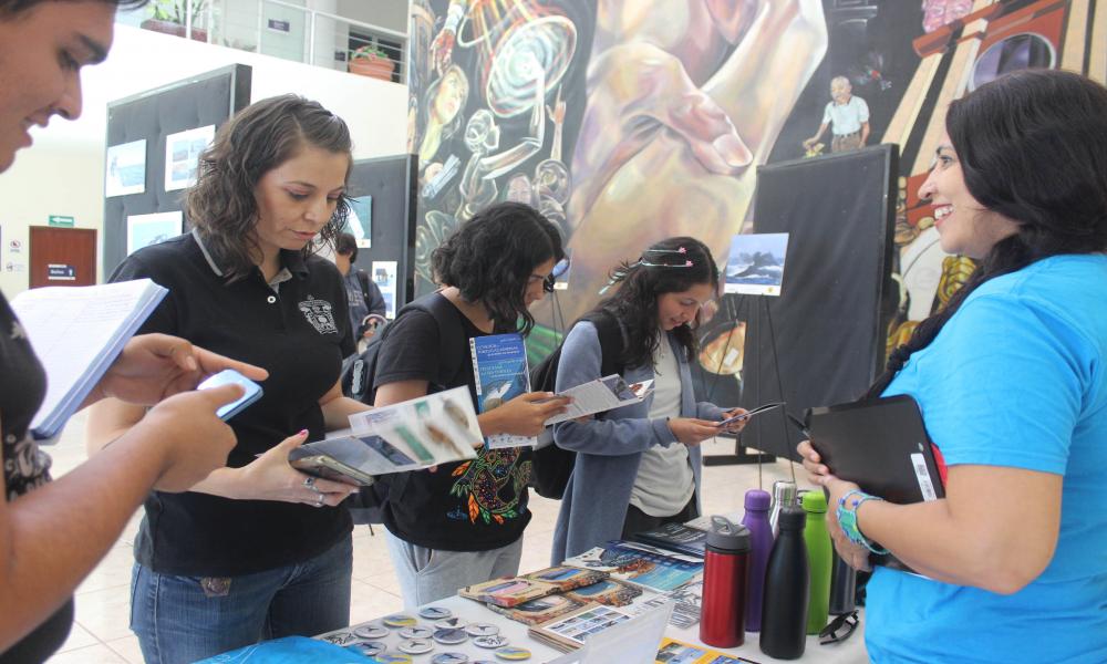 Educación Ambiental, clave para la conservación de la ballena jorobada