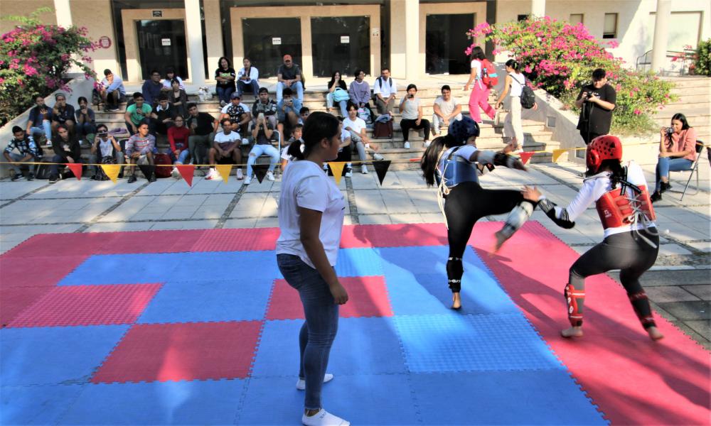 Estudiantes del CUCOsta ofrecen espectacular exhibición de Taekwodon