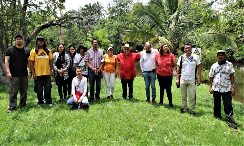 Entregan Magnolia Vallartensis para reproducir en CUCosta