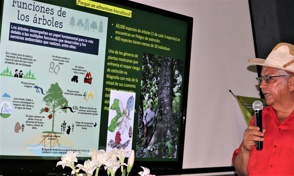 Entregan Magnolia Vallartensis para reproducir en CUCosta