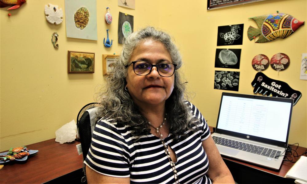 Confirman investigadores del CUCosta presencia de marea roja desde hace 13 años