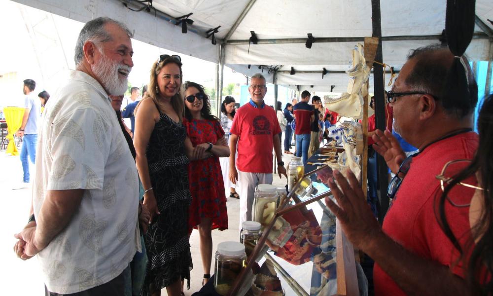 Papirolas, ¡Olas y olas de diversión con el Mundo Marino! en CUCosta