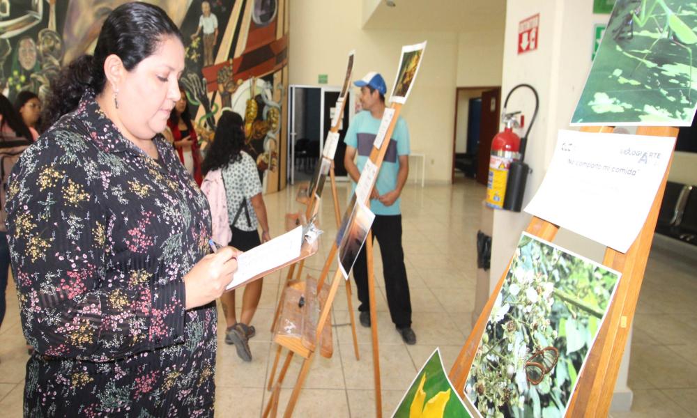 Celebran en grande el Día del “Biólogo y Bióloga” en CUCosta