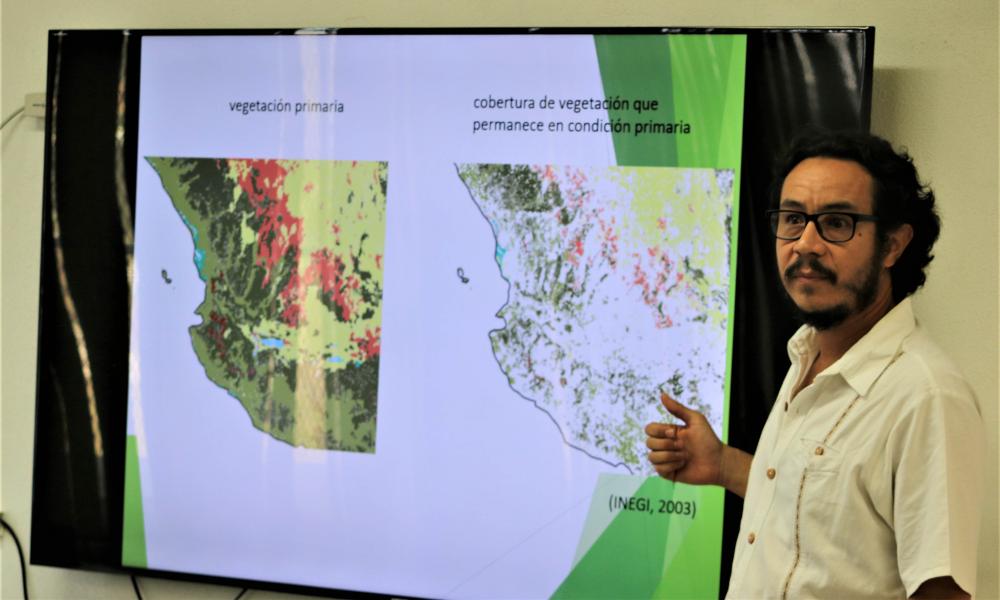 Investigador resalta que han identificado 12 plantas nuevas en esta región