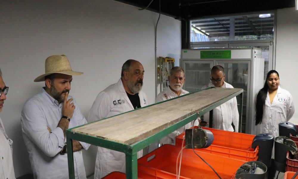 Develaron placas y corte de listón en espacios nuevos en el Centro Universitario de la Costa