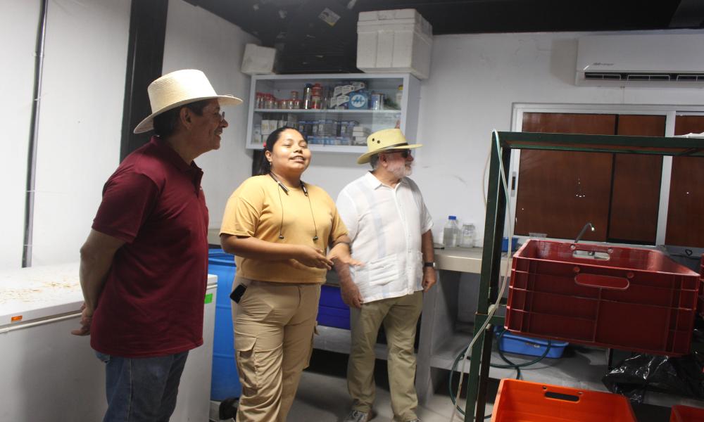 Rectores del CUCosta y CUCSur establecen acuerdos de colaboración